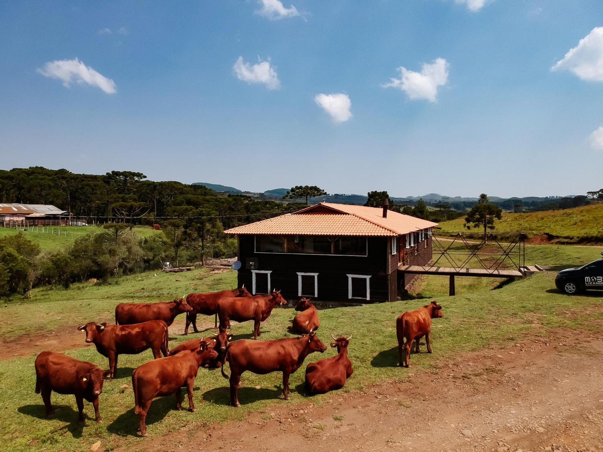 Fazenda Invernada Grande Turismo Rural Bom Jardim da Serra Bagian luar foto